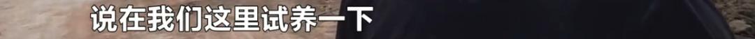 DƬ